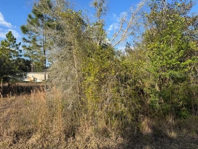 For Sale: $35,000 (0.24 acres)