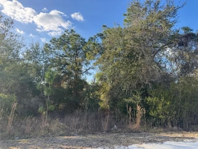 待售: $35,000 (0.24 acres)