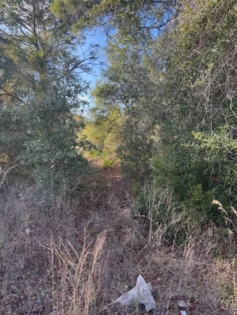 待售: $35,000 (0.24 acres)