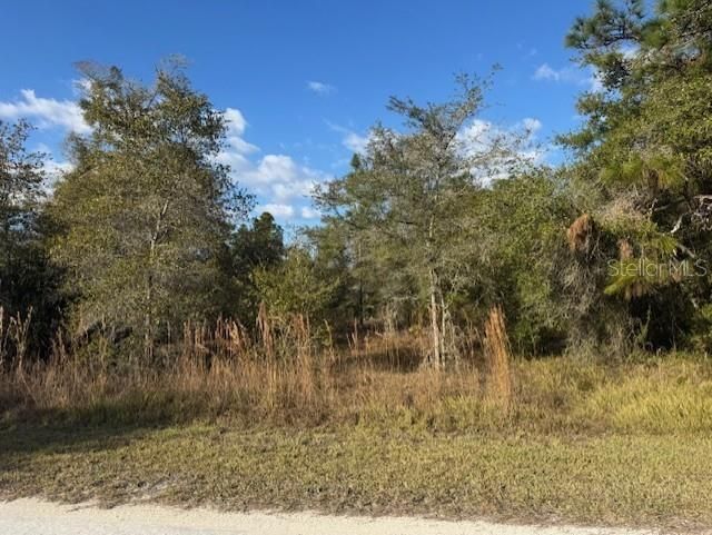 待售: $35,000 (0.24 acres)