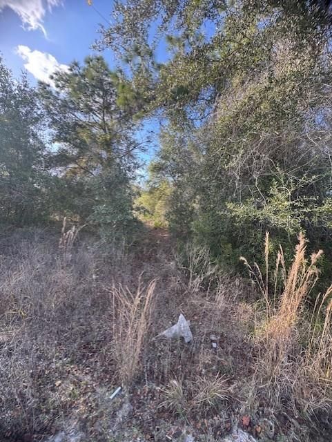 待售: $35,000 (0.24 acres)