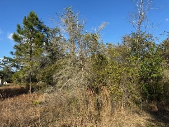 待售: $35,000 (0.24 acres)