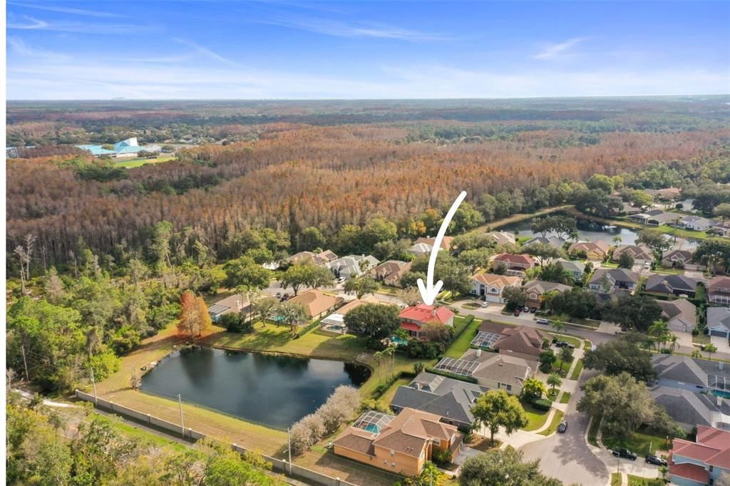 待售: $1,175,000 (6 贝兹, 4 浴室, 4059 平方英尺)