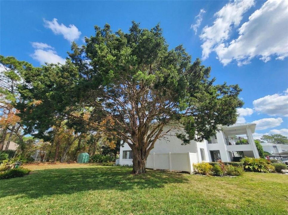 For Sale: $220,000 (2 beds, 2 baths, 1508 Square Feet)