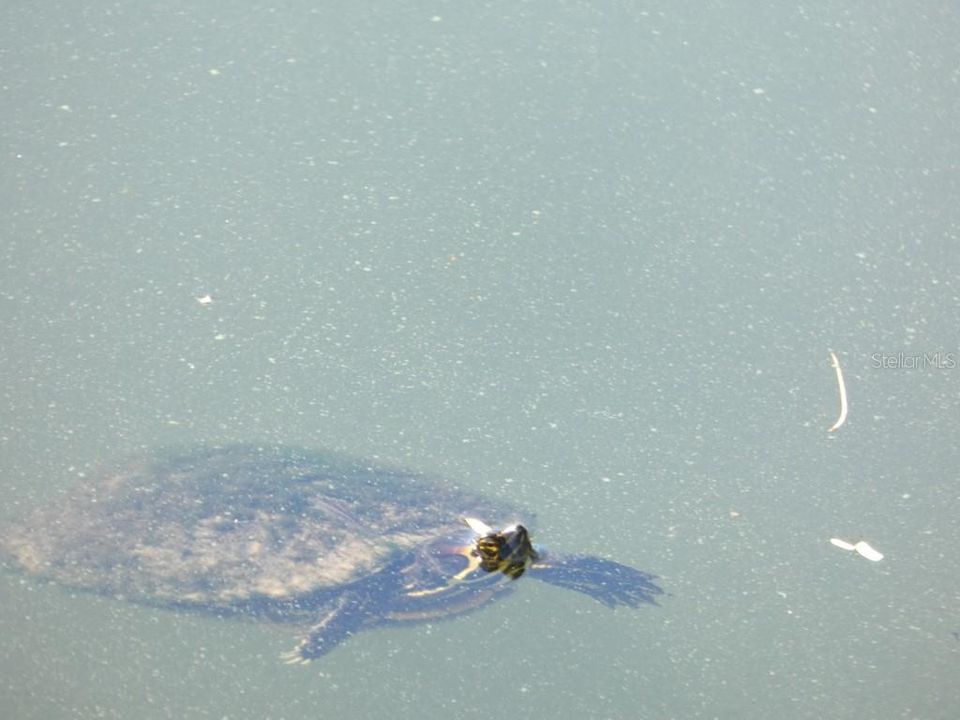 For Sale: $200,000 (2 beds, 2 baths, 1100 Square Feet)