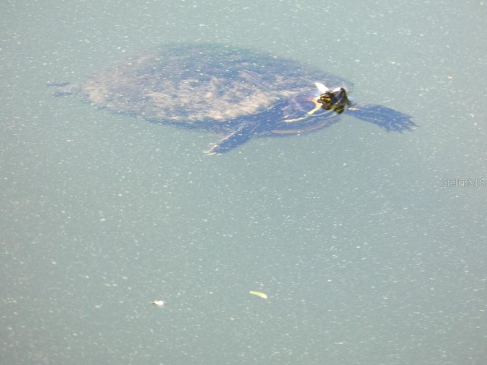 For Sale: $200,000 (2 beds, 2 baths, 1100 Square Feet)