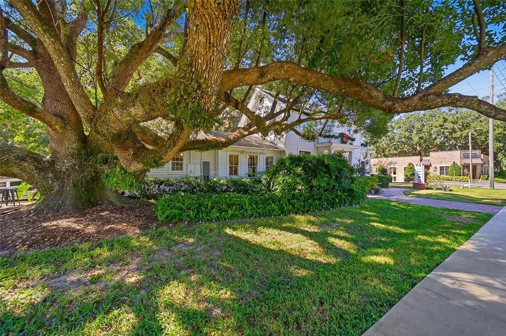 待售: $395,000 (0.28 acres)