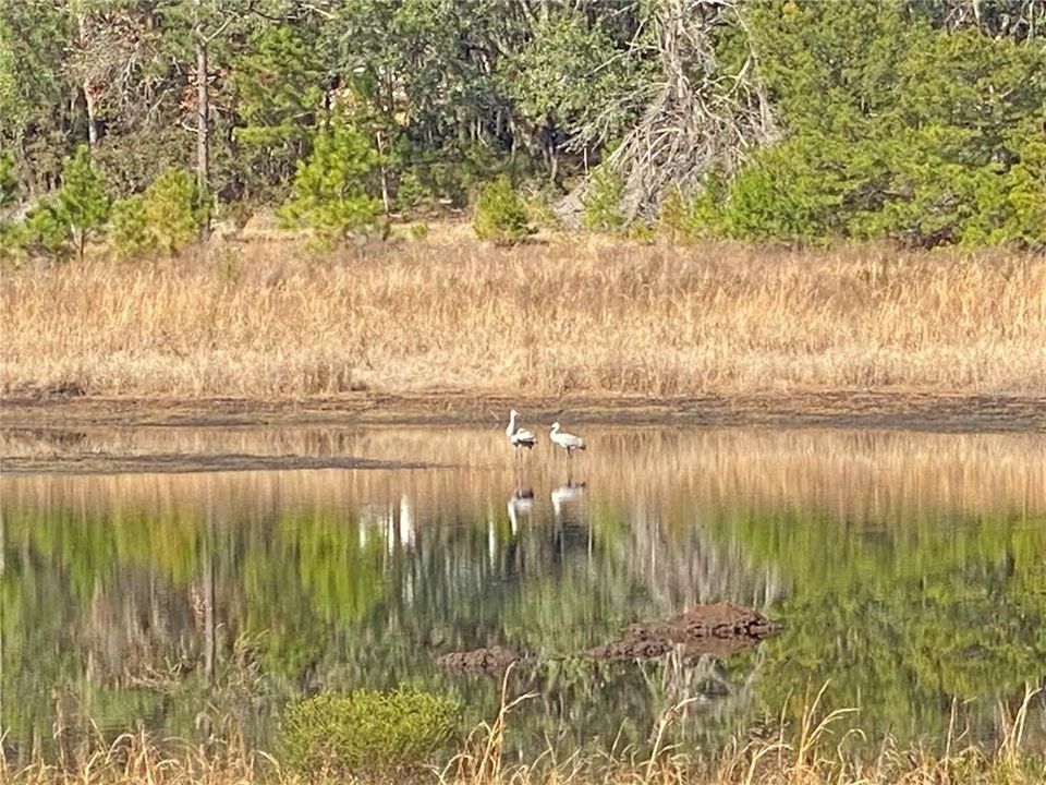 На продажу: $299,000 (4 спален, 2 ванн, 1456 Квадратных фут)