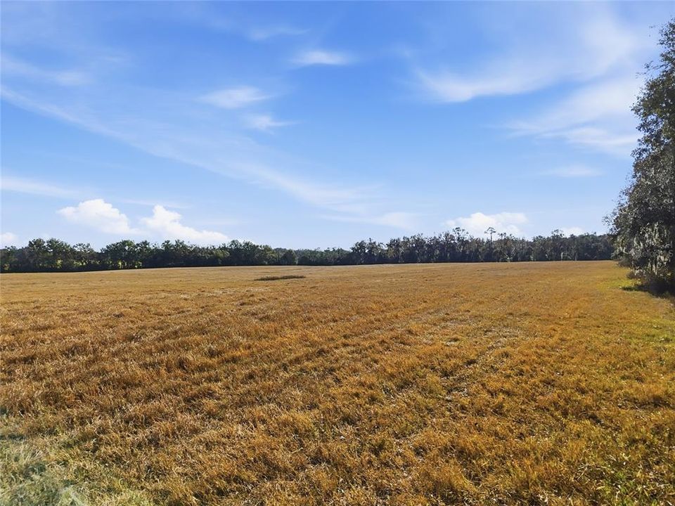 For Sale: $1,500,000 (37.00 acres)