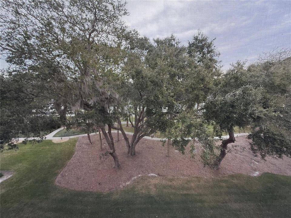 待售: $330,000 (3 贝兹, 2 浴室, 1377 平方英尺)