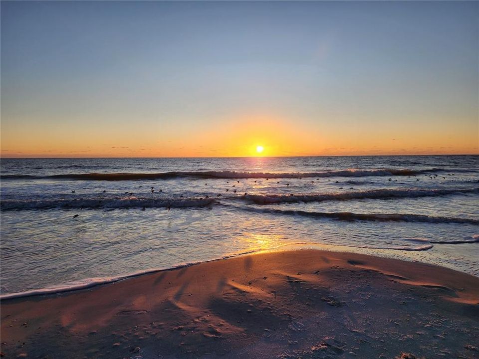 На продажу: $1,200,000 (3 спален, 2 ванн, 1337 Квадратных фут)