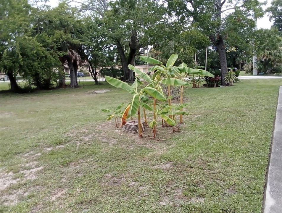 En Venta: $2,000,000 (6 camas, 0 baños, 3325 Pies cuadrados)