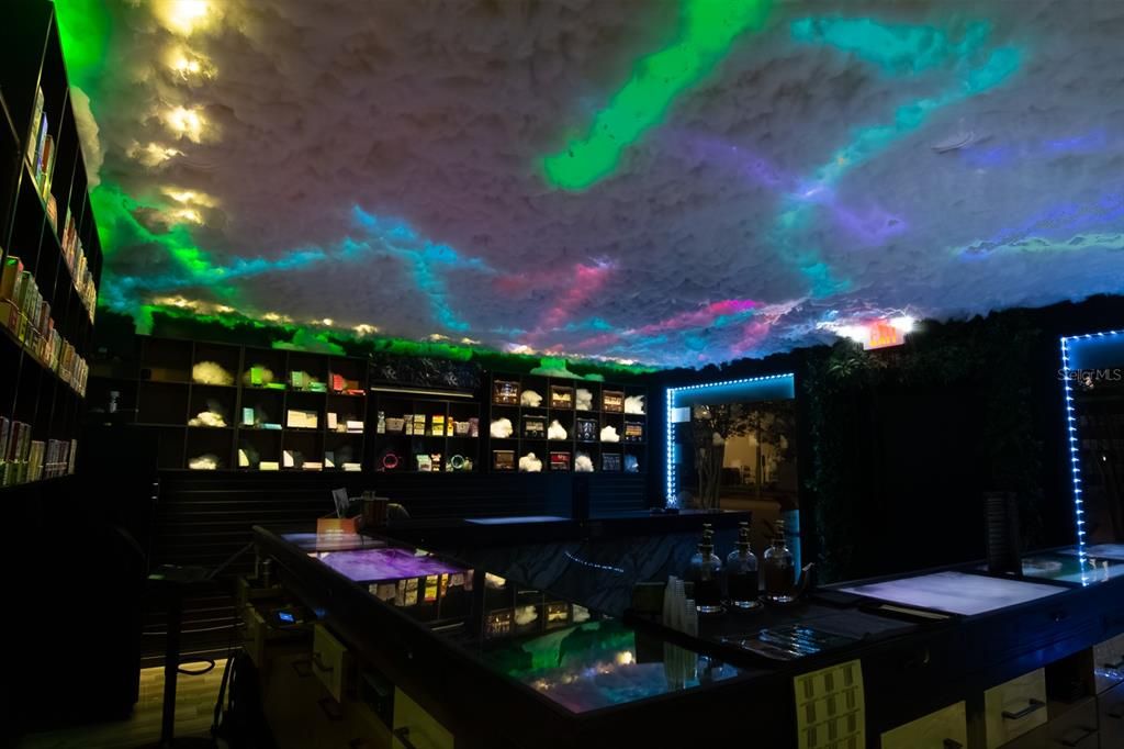 待售: $500,000 (0 贝兹, 0 浴室, 494 平方英尺)