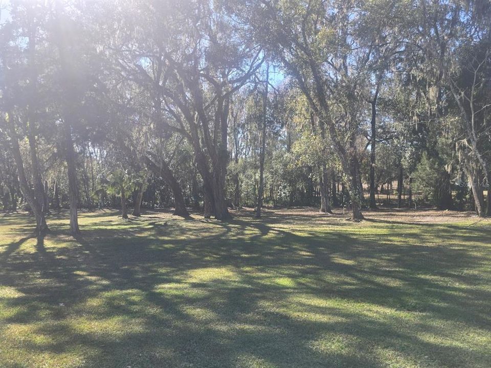 В аренду: $2,500 (2 спален, 1 ванн, 1264 Квадратных фут)