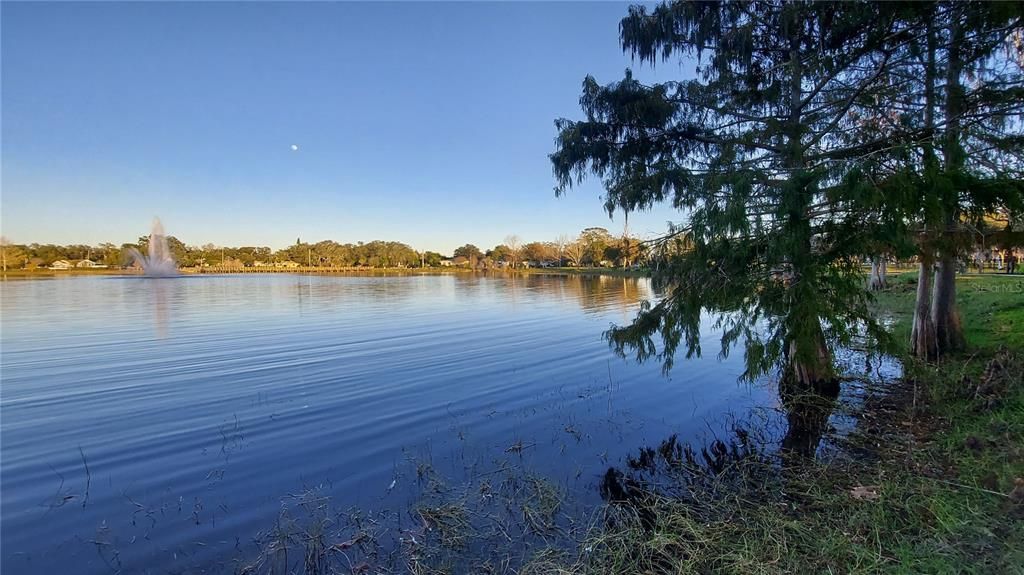 En Renta: $2,500 (2 camas, 2 baños, 1446 Pies cuadrados)