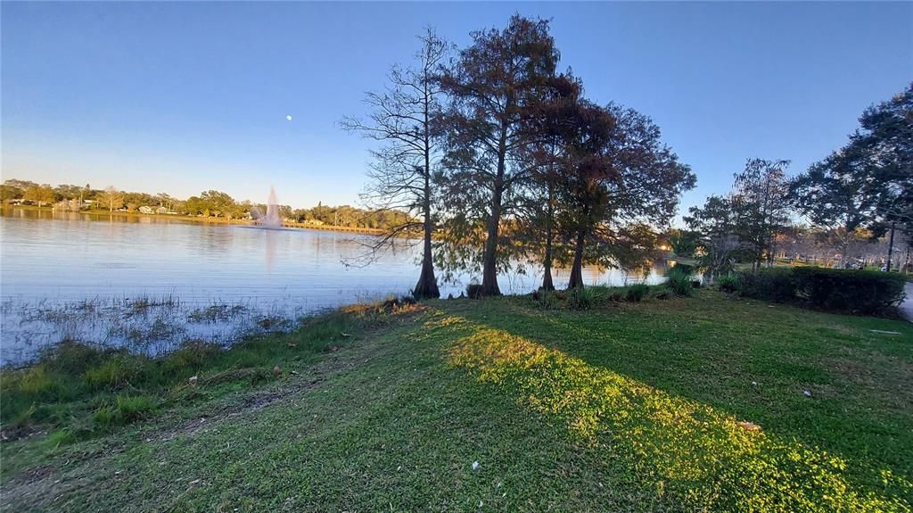 En Renta: $2,500 (2 camas, 2 baños, 1446 Pies cuadrados)