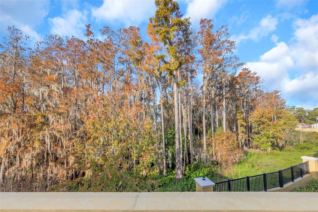 待售: $475,000 (3 贝兹, 2 浴室, 2230 平方英尺)