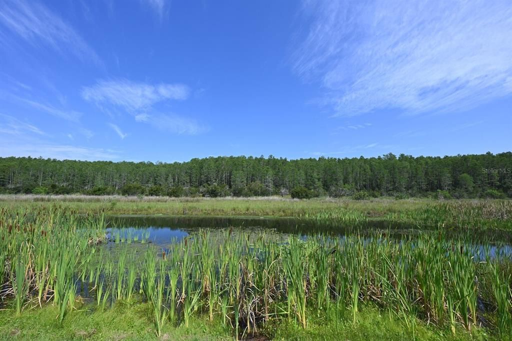 En Venta: $949,000 (8 camas, 5 baños, 4289 Pies cuadrados)