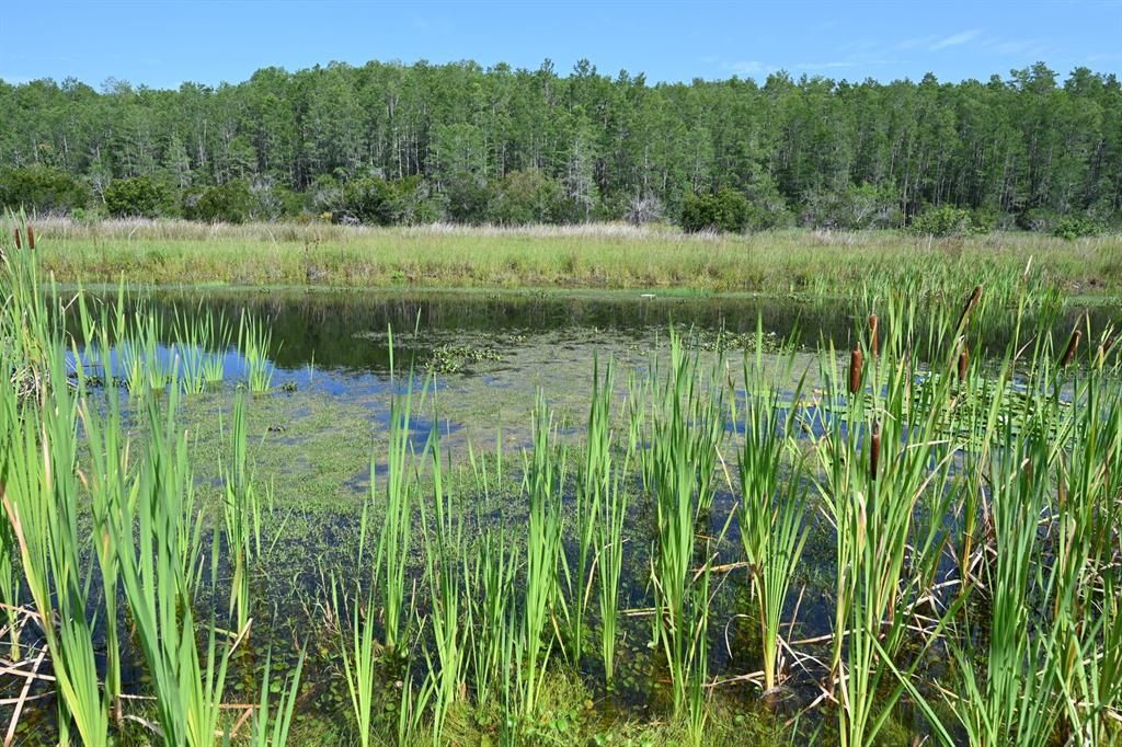 En Venta: $949,000 (8 camas, 5 baños, 4289 Pies cuadrados)