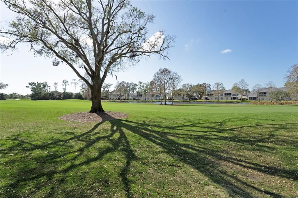 待售: $229,000 (2 贝兹, 2 浴室, 1042 平方英尺)