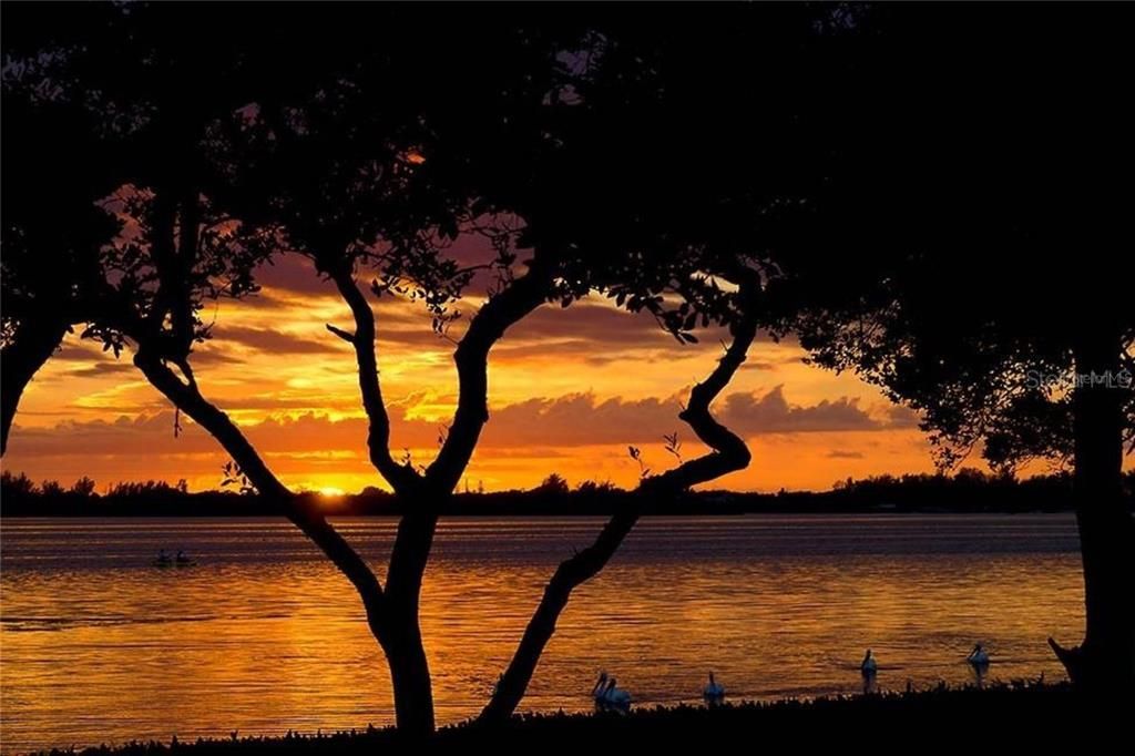 На продажу: $785,000 (3 спален, 2 ванн, 2541 Квадратных фут)