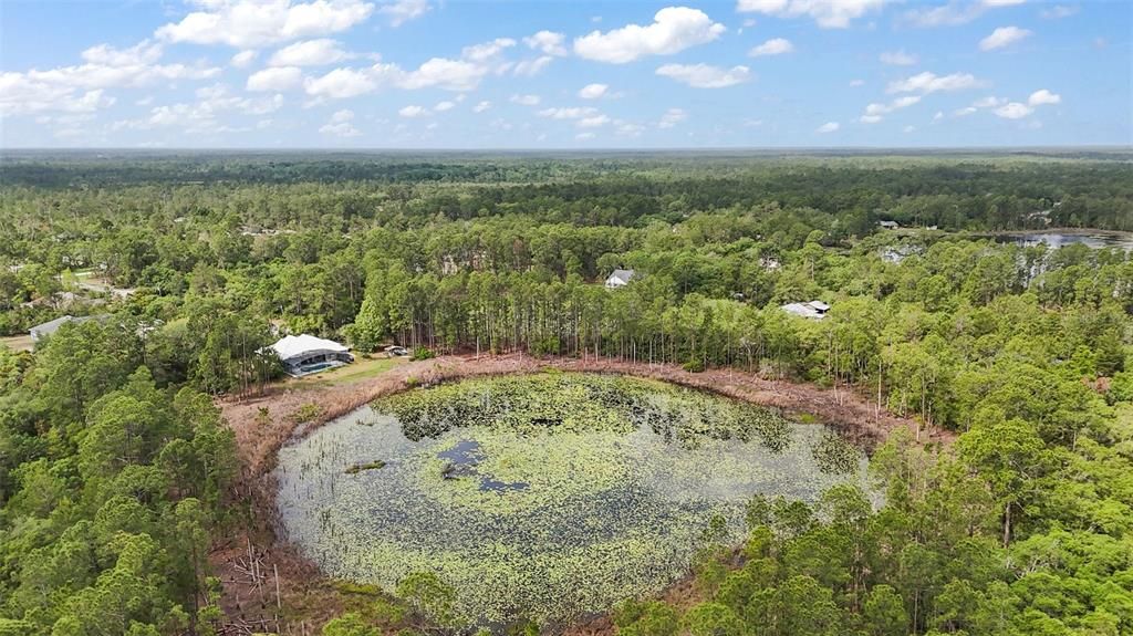 For Sale: $445,000 (3 beds, 2 baths, 1943 Square Feet)