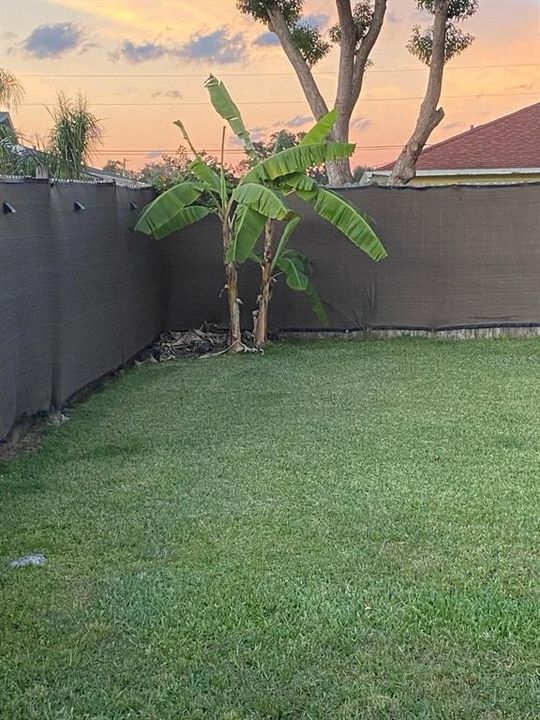 待售: $259,900 (2 贝兹, 2 浴室, 1644 平方英尺)