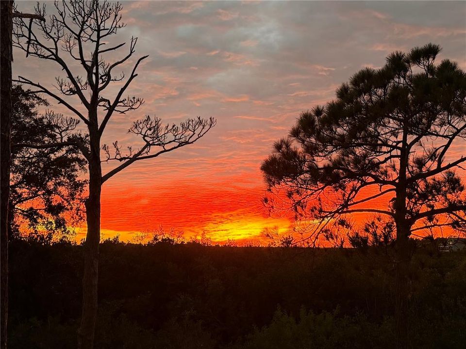 На продажу: $515,000 (3 спален, 2 ванн, 1443 Квадратных фут)