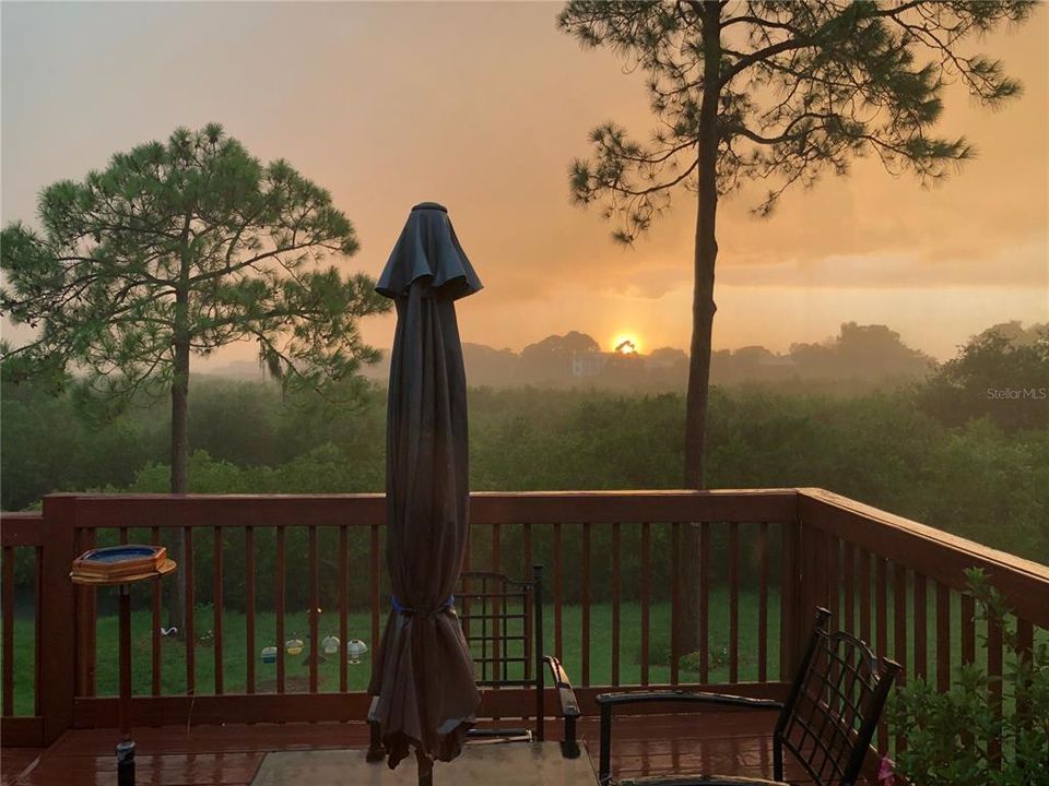 На продажу: $515,000 (3 спален, 2 ванн, 1443 Квадратных фут)