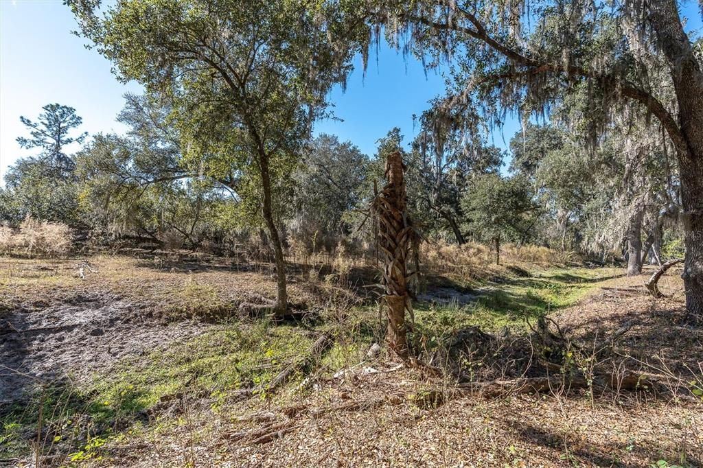 На продажу: $195,000 (1.08 acres)