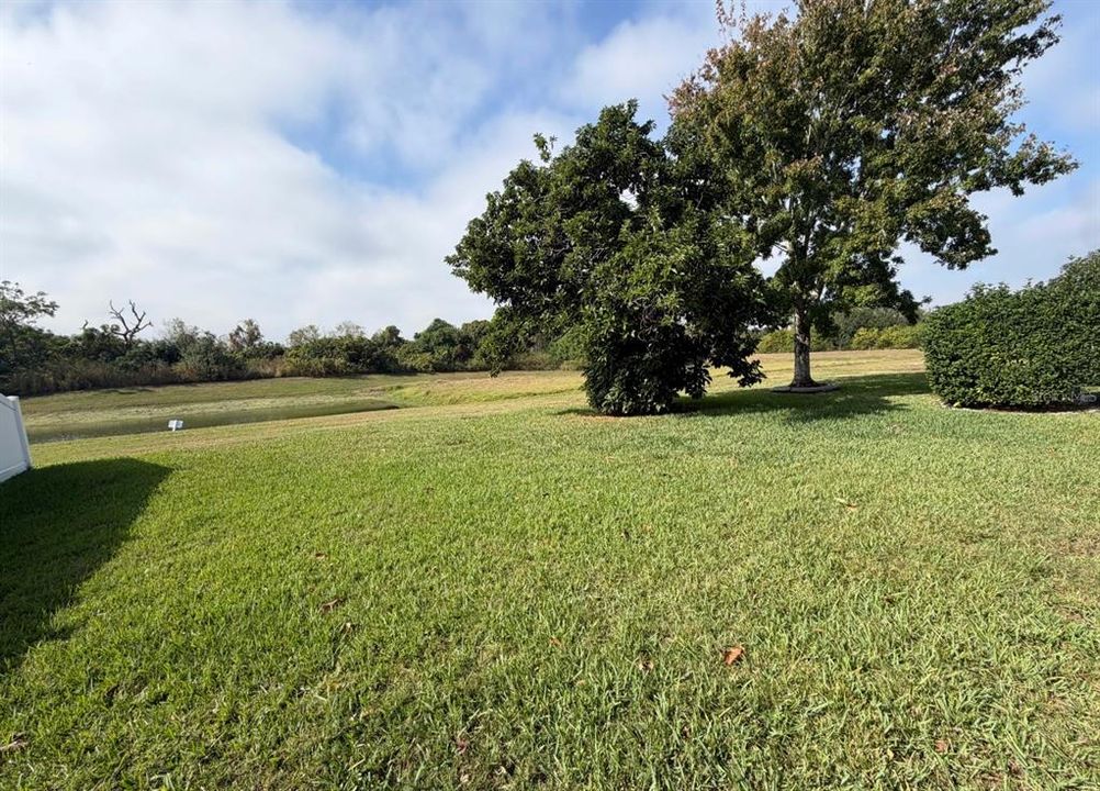 For Sale: $350,000 (3 beds, 2 baths, 1657 Square Feet)