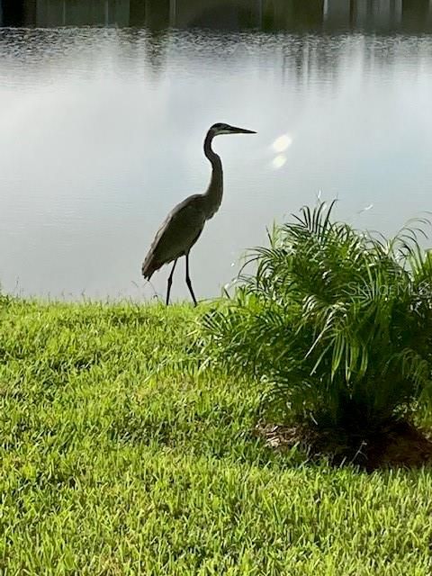 En Venta: $409,900 (3 camas, 2 baños, 1710 Pies cuadrados)