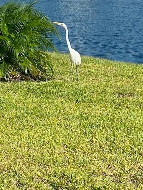 En Venta: $409,900 (3 camas, 2 baños, 1710 Pies cuadrados)