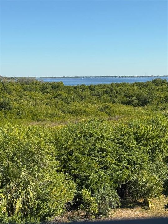 出租: $2,000 (2 贝兹, 2 浴室, 1405 平方英尺)