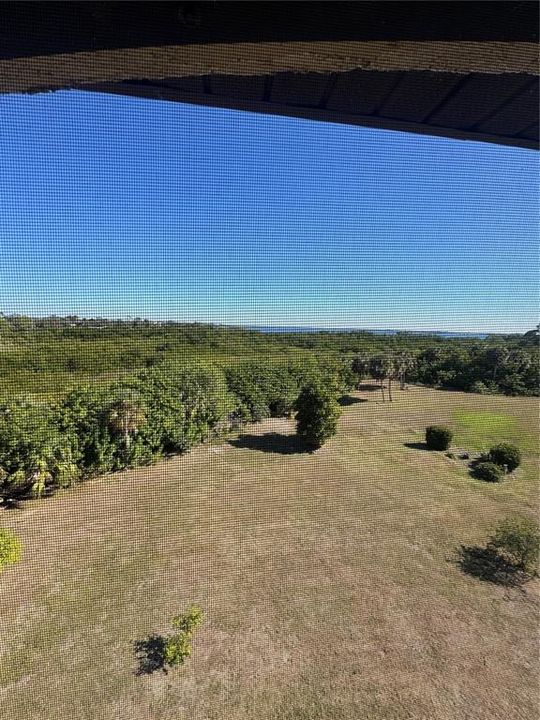 出租: $2,000 (2 贝兹, 2 浴室, 1405 平方英尺)