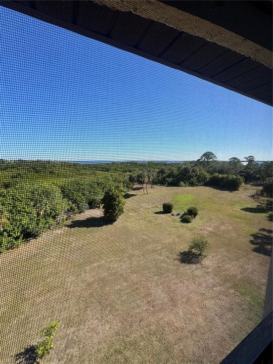 出租: $2,000 (2 贝兹, 2 浴室, 1405 平方英尺)