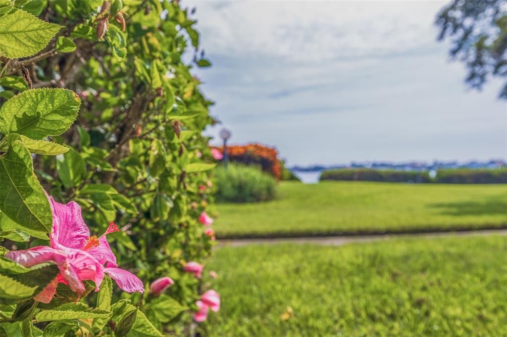 待售: $410,000 (2 贝兹, 2 浴室, 1050 平方英尺)