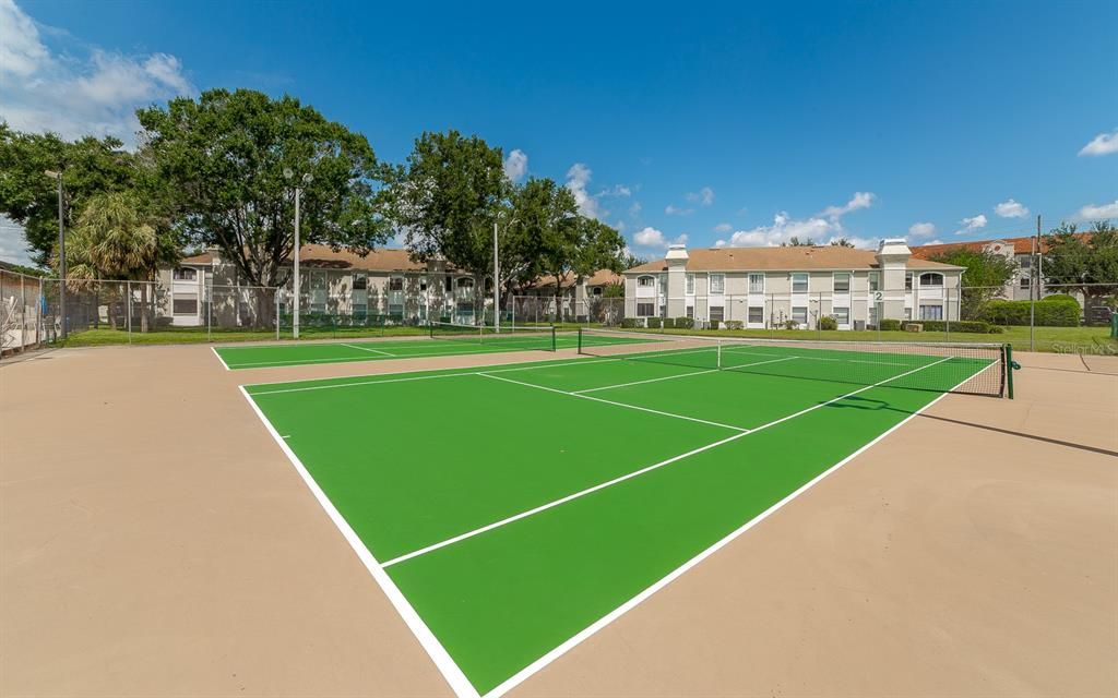 出租: $1,350 (1 贝兹, 1 浴室, 629 平方英尺)