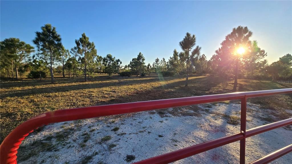 For Sale: $55,000 (1.25 acres)