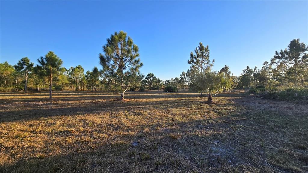 For Sale: $55,000 (1.25 acres)