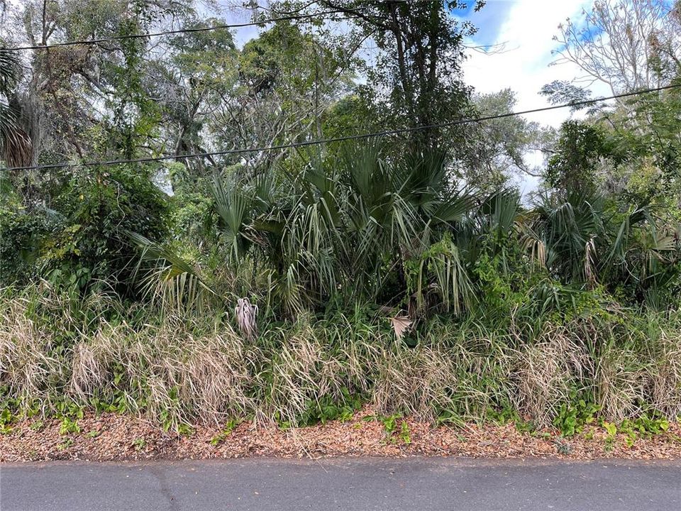 For Sale: $69,900 (0.27 acres)