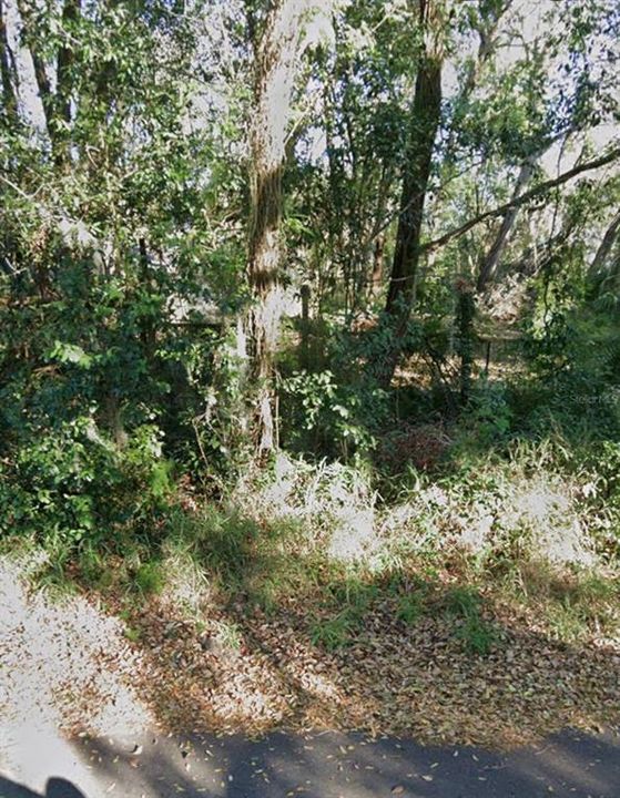 For Sale: $69,900 (0.27 acres)