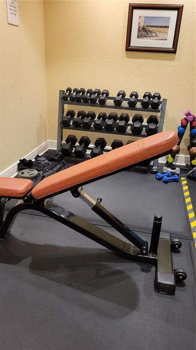 В аренду: $2,300 (2 спален, 2 ванн, 985 Квадратных фут)