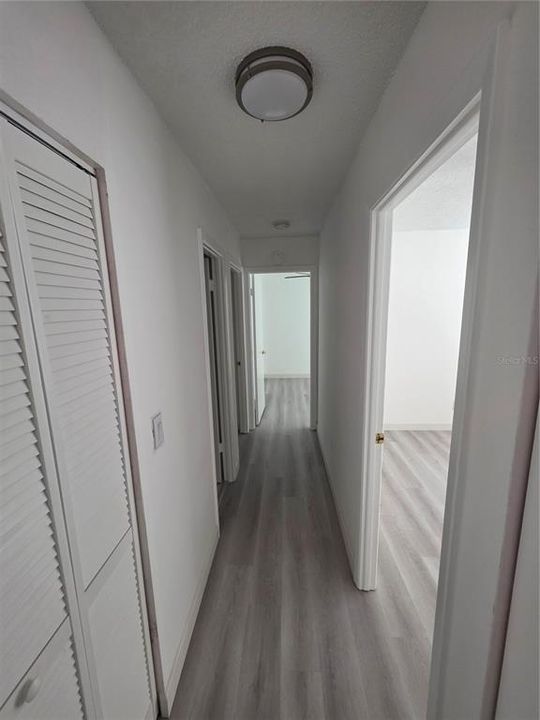 出租: $3,000 (4 贝兹, 2 浴室, 1332 平方英尺)