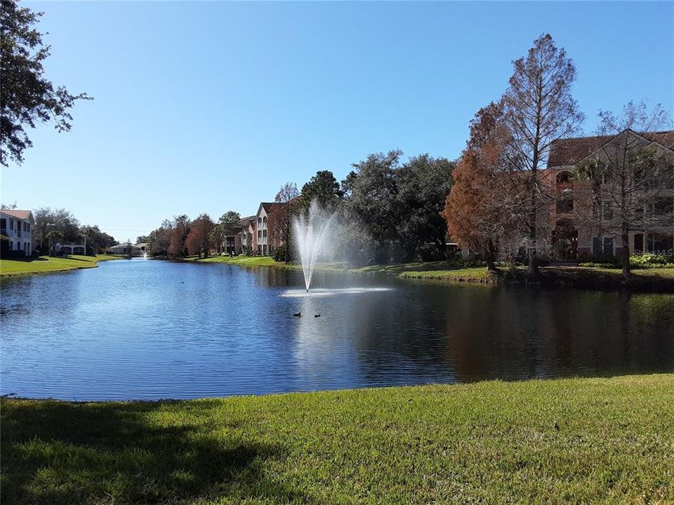 For Rent: $1,875 (2 beds, 2 baths, 1069 Square Feet)