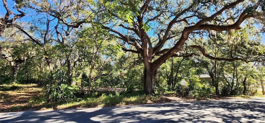 En Venta: $55,000 (0.22 acres)