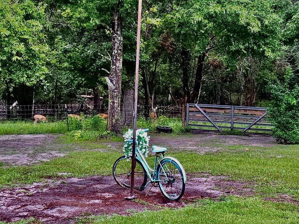 待售: $450,000 (4 贝兹, 2 浴室, 1632 平方英尺)