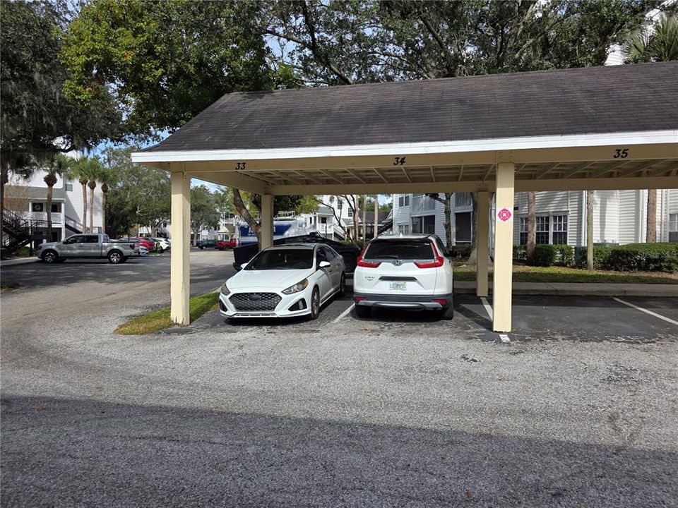 出租: $1,500 (1 贝兹, 1 浴室, 827 平方英尺)