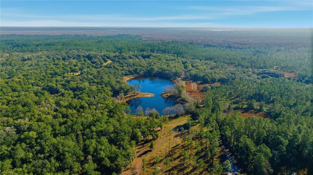 待售: $403,000 (16.12 acres)