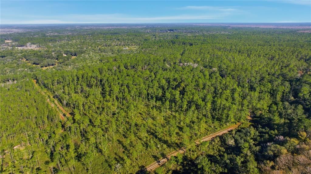 待售: $403,000 (16.12 acres)